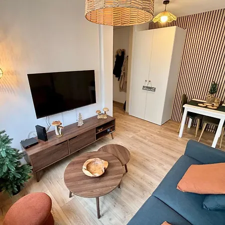 Appartement T2 In The Heart Of The Poincare District Straatsburg